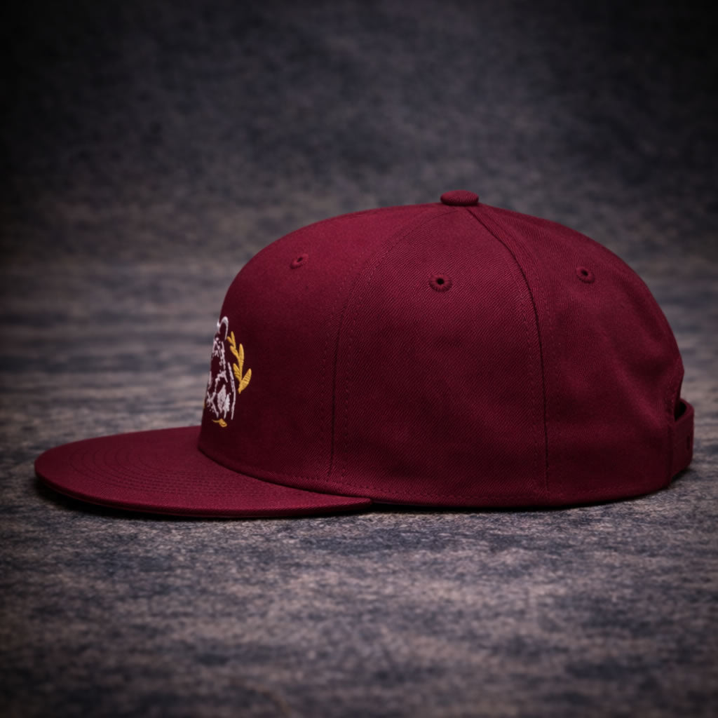 Raw Impulse Logo Snapback